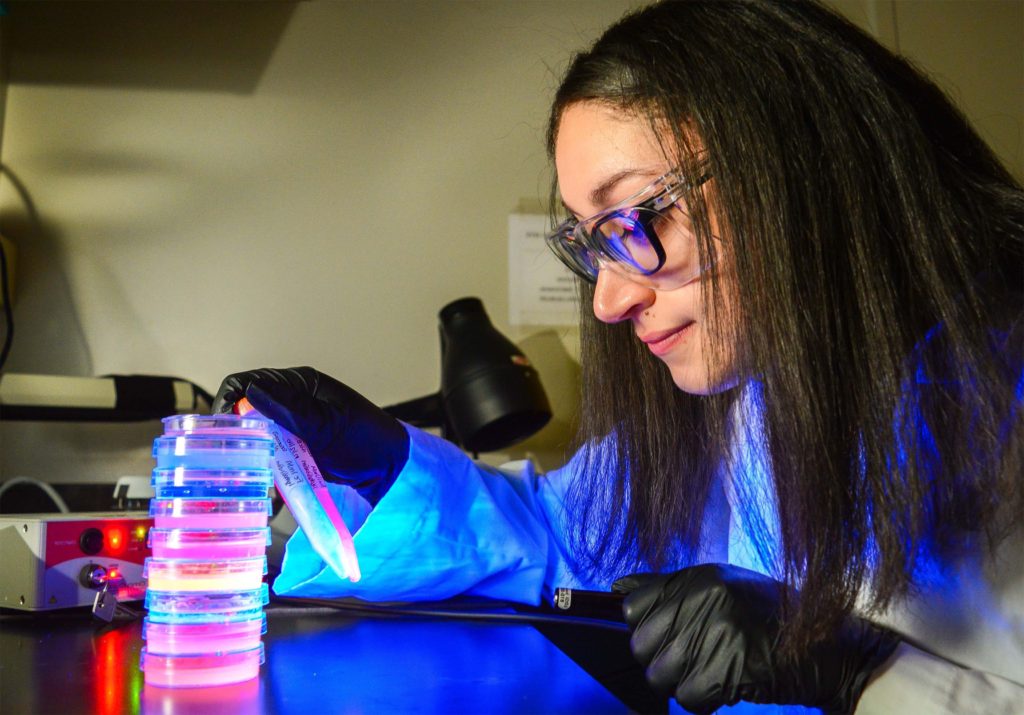 Student Scientist